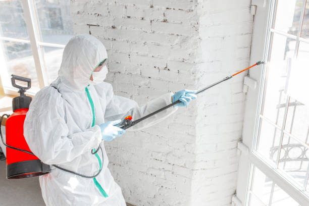  Escobares, TX Mold Removal Pros