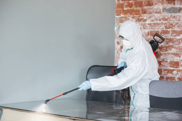 Best Crawl Space Mold Remediation in Escobares, TX