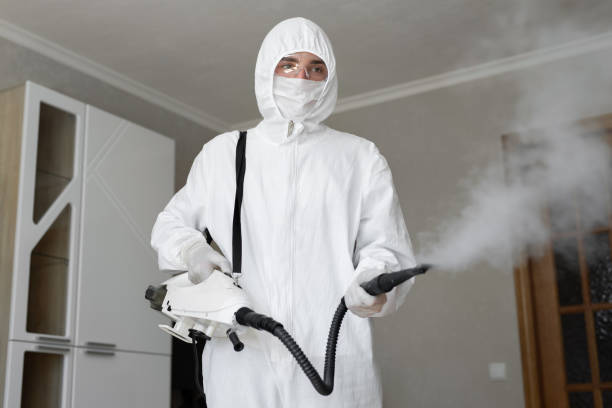 Mold Documentation for Insurance Claims